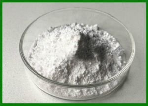 Altrenogest Powder