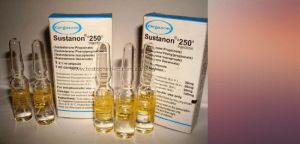 Anabolic Steroid Sustanon 250