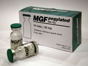 Mechano Growth Factor (MGF)