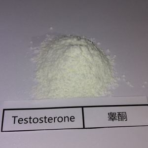 TTE Suspention Testosterone