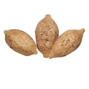 Dry Arrowroot