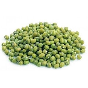 Green Mung Bean