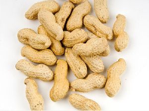 Shelled Peanuts