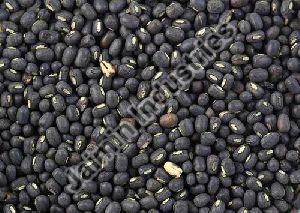 Black Mung Beans