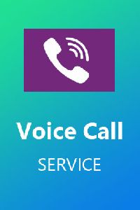 bulk voice calls services