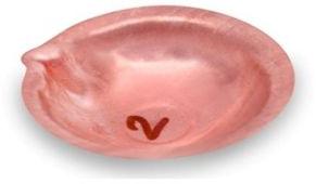 2 Number Copper Diya