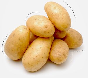 Fresh Table Potatoes