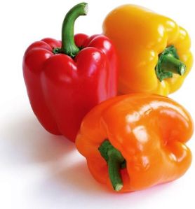 Fresh Bell Pepper