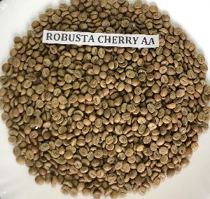 robusta cherry aa coffee BEAN
