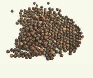 Black Pepper