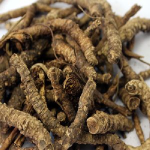 Kutki Root