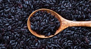 Chakhao Black Rice