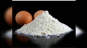 Egg Shell Powder