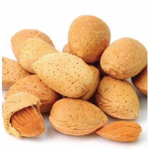 Shelled Almonds