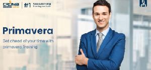 Primavera Online Training in Dubai