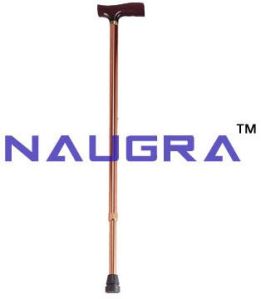 Walking Stick Eco