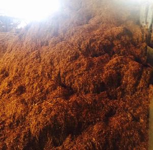 Rollling Tobacco