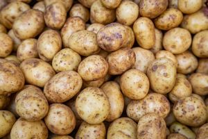 Fresh Potato