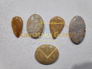 Fossil Coral cabochons gemstone