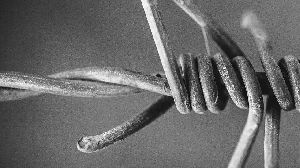 Barbed Wire