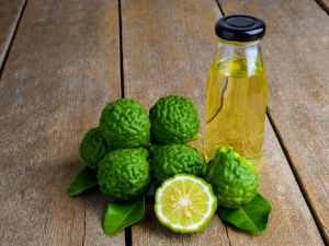 Bergamot Essential Oil