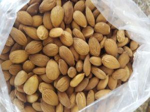 Almond mamra