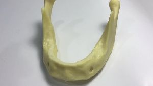 Drilling Practice Dental Model