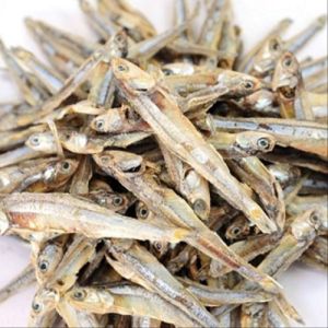 Dried Anchovy Fish