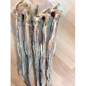 Dried Bombay Duck Fish