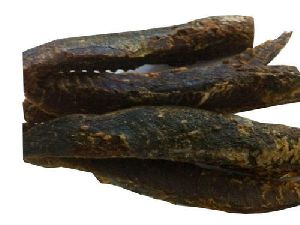 Dried Tuna Fish