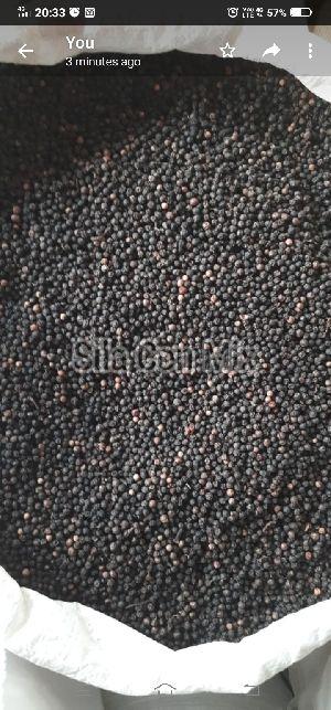 Black Pepper
