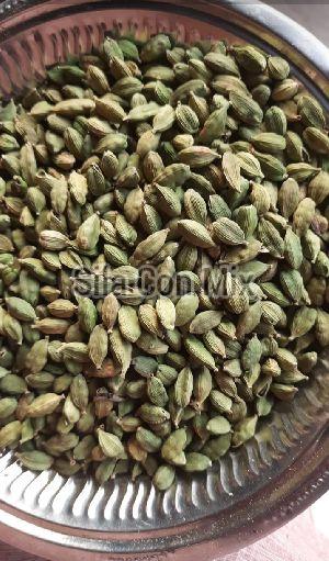 Cardamom