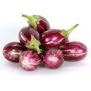 Fresh Brinjal