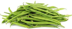 Fresh French Beans