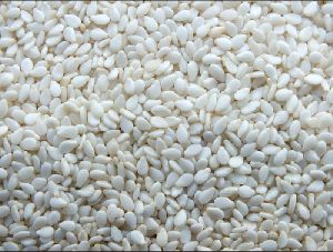 Hulled White Sesame Seeds 99.95%