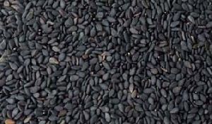 Natural Black Sesame Seeds Regular