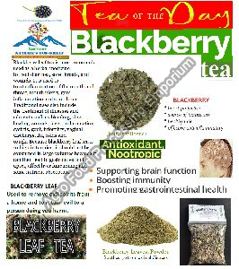 Blackberry Leaf Tea