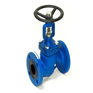 Bellows Sealed Globe Valves