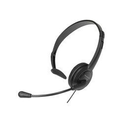 Panasonic Headset