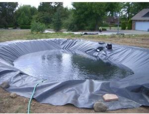 HDPE Fish Pond Lining