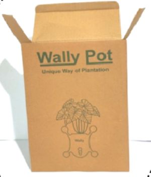 Printed Corrugated Box
