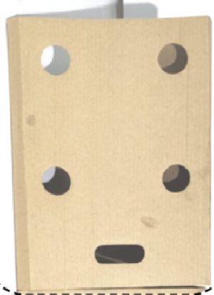 Printed Corrugated Box