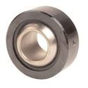 Corrosion Resistant Bearing