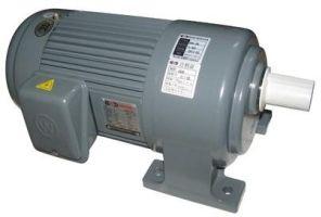 Special Gear Motor