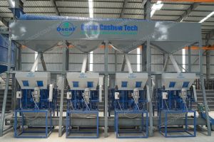 cashew nut process plants turnkey projects