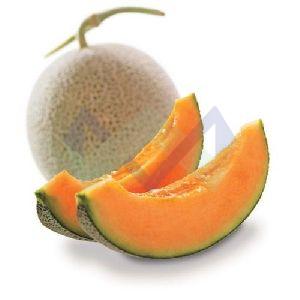 Fresh Muskmelon