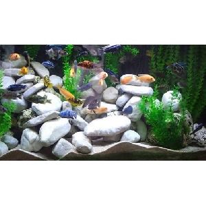 Artificial Aquarium Stones