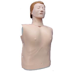 CPR Half Body Manikins Model