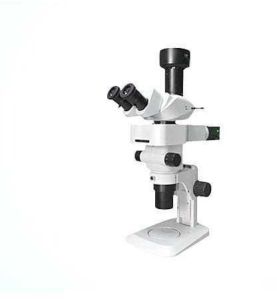 Fluorescence Stereo Microscope