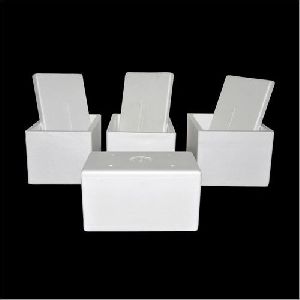 EPS Fish Packaging Thermocol Box